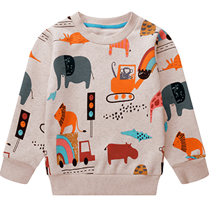 toddler boys sweatshirt