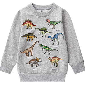 boys dinosaur sweater