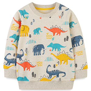 boys dinosaur sweatshirt