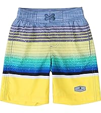 Swim Trunks Beach Shorts