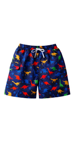 TFJH E Boys Swim Trunk