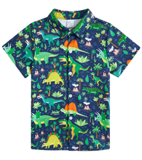 dinosaur shirt