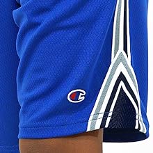 Champion Quality Mesh Shorts