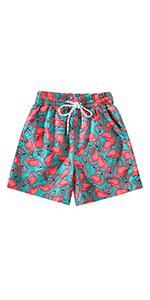 Flamingos Swim Trunks