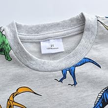 toddler boy sweatshirt, 3t boys clothes, dinosaur shirts for boys, toddler sweatshirts,