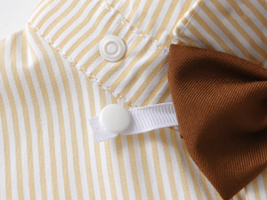 Removable Bow Tie