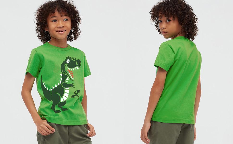 Boys Dinosaur tees