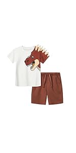 Boys 2pcs Summer Short Sets