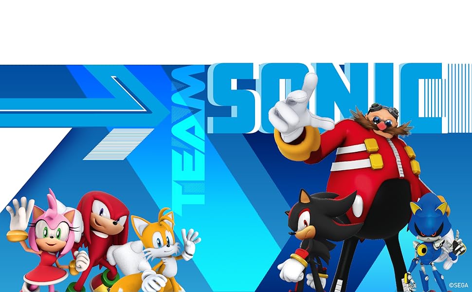 TEAM SONIC; AMY; KNUCKLE; TAILS; SHADOW; EGGMAN; METAL SONIC