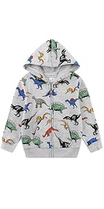 Dinosaur Sweatshirt