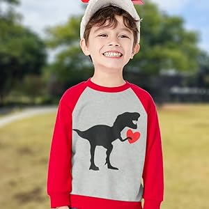 Boys dinossaur sweatshirts