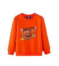 Boys Pumpkin Sweatshirt