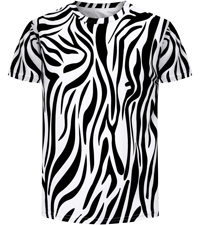 Boy Zebra Shirt