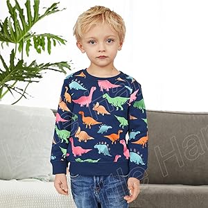 boys dinosaur shirt