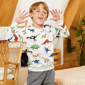 boys dinosaur shirt