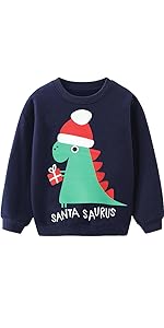 dinosaur sweatshirt