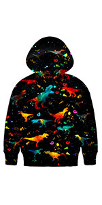 3D Colorful Dinosaur Hoodies