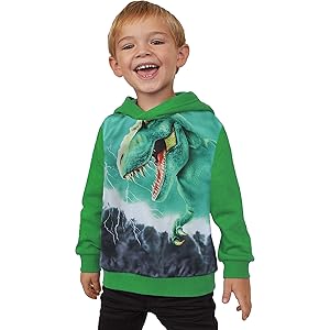 Boys Dinosaur Sweatshirts Green