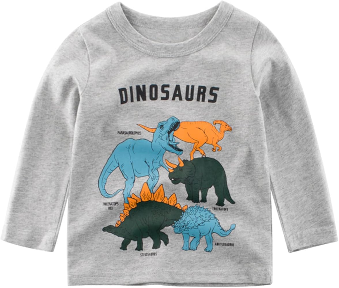 Toddler Kids Baby Boys Girls Dinosaur Letter Print Long Sleeve Crewneck T Shirts Tops Tee Clothes for Basketball