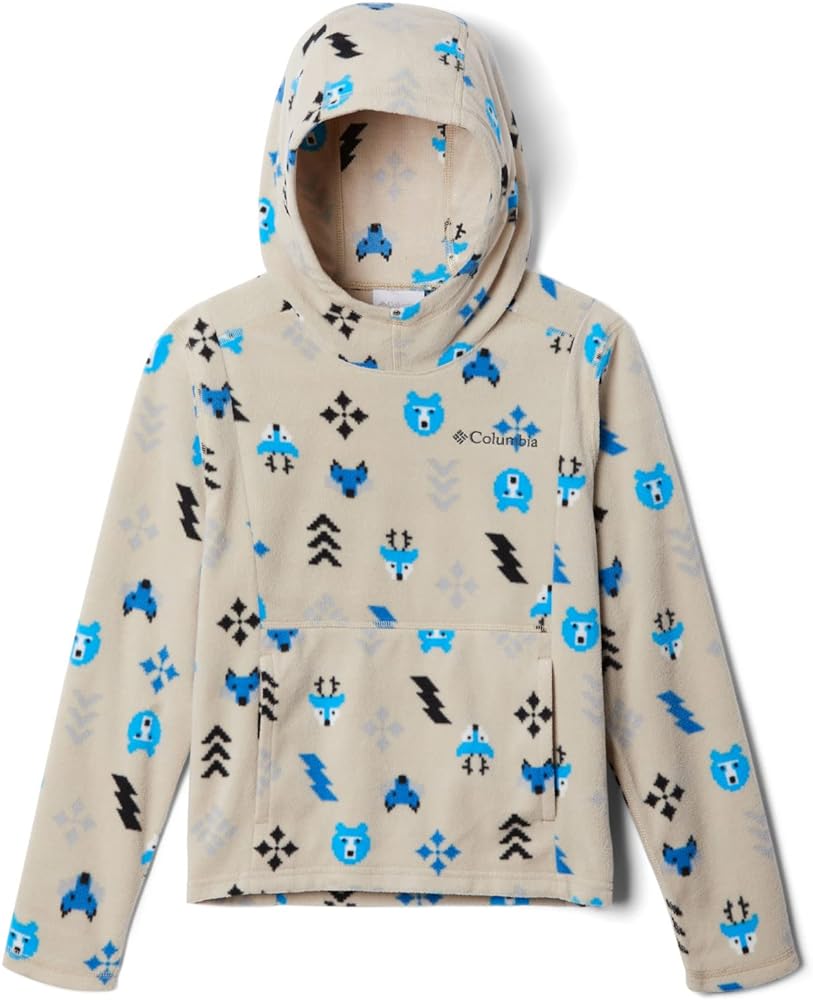 Columbia Boys' Glacial Hoodie