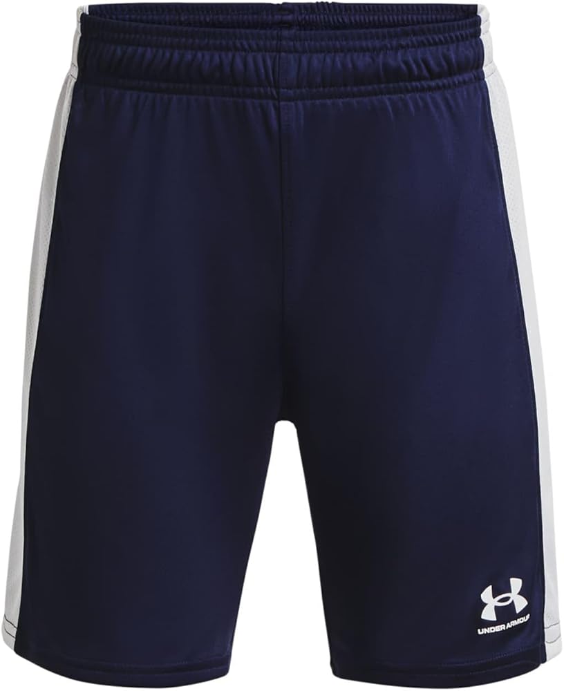 Boys' UA Challenger Knit Shorts