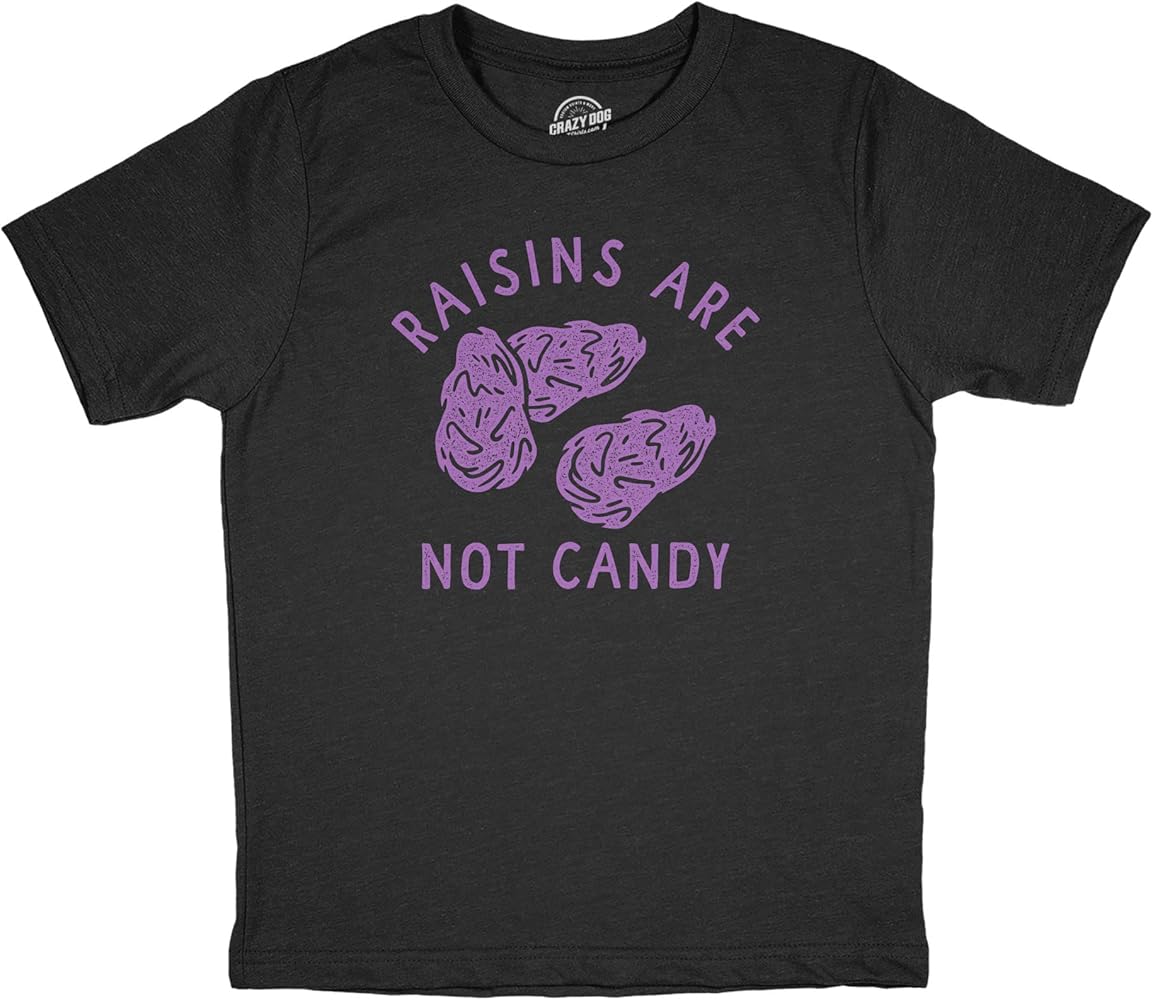 Youth Raisins are Not Candy T Shirt Funny Healthy Snack Joke Tee for Kids