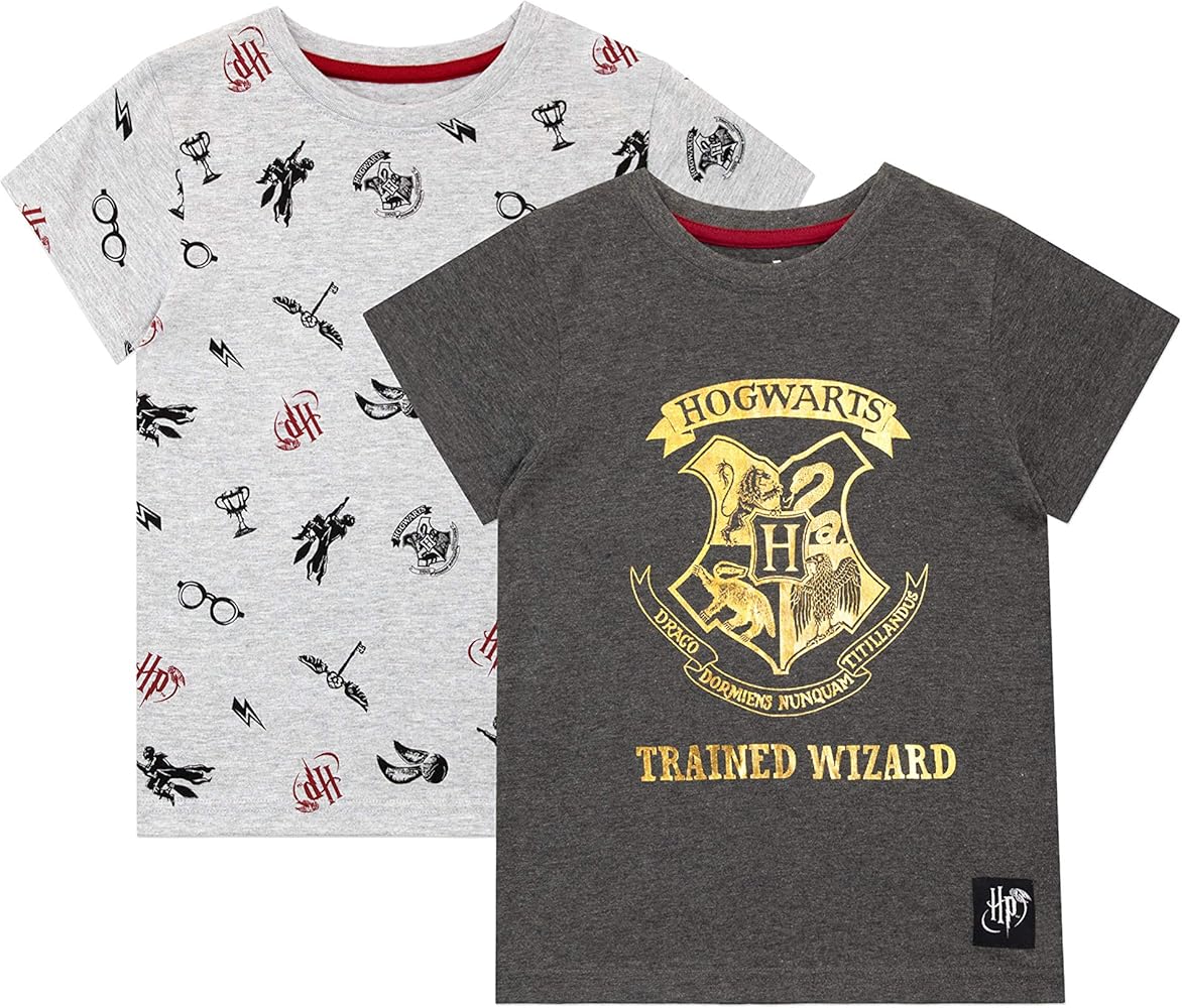 Harry Potter Boys' Hogwarts T-shirt pack of 2