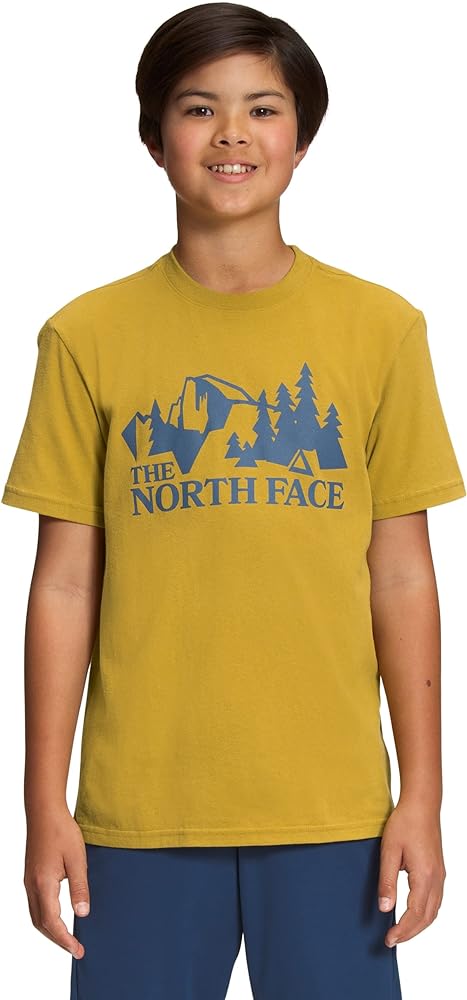 The North Face Kids Boy's Short Sleeve Graphic Tee (Little Kids/Big Kids)