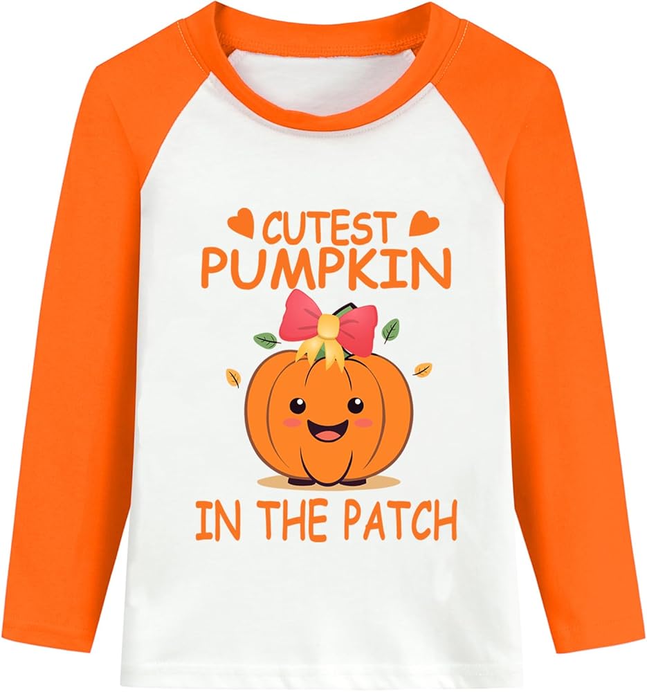 DDSOL Halloween Tshirt Toddler Boy Pumpkin Dinosaur Shirt Monster Truck Long Sleeve Raglan Kid Tee Top Clothes 2-10 Year