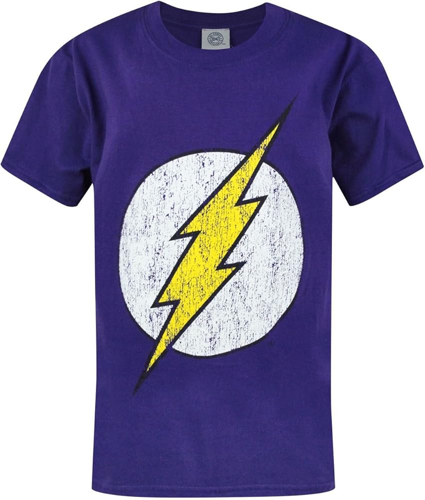 DC Comics Flash Distressed Logo Boy's Children's Purple T-Shirt Top