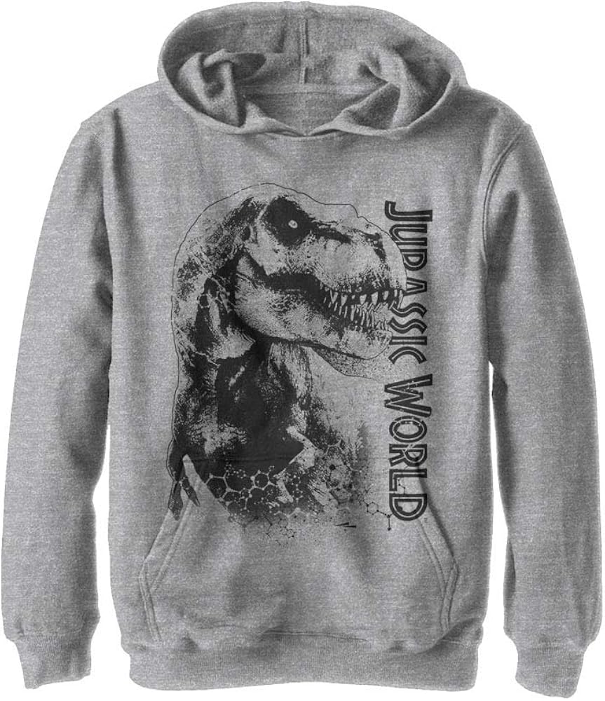 Jurassic World Boys' Hooded Sweatshirt