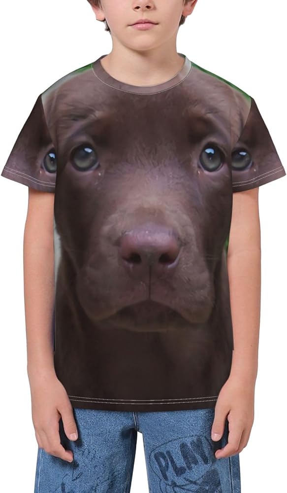 Chocolate Lab Face Teen Boys Short Sleeve Crew Neck T-Shirt Casual Tee Tops for Youth Kids