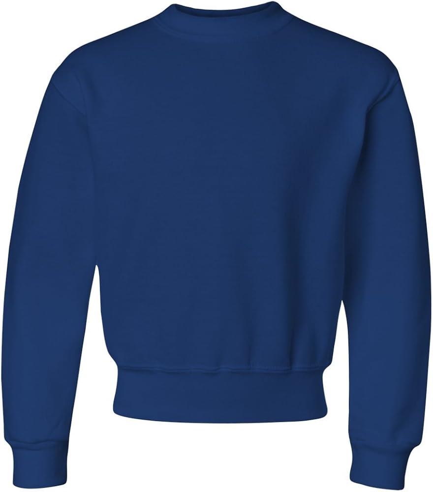 Jerzees boys Fleece Sweatshirts, Hoodies & Sweatpants Shirt, Sweatshirt - Royal Blue, X-Large US