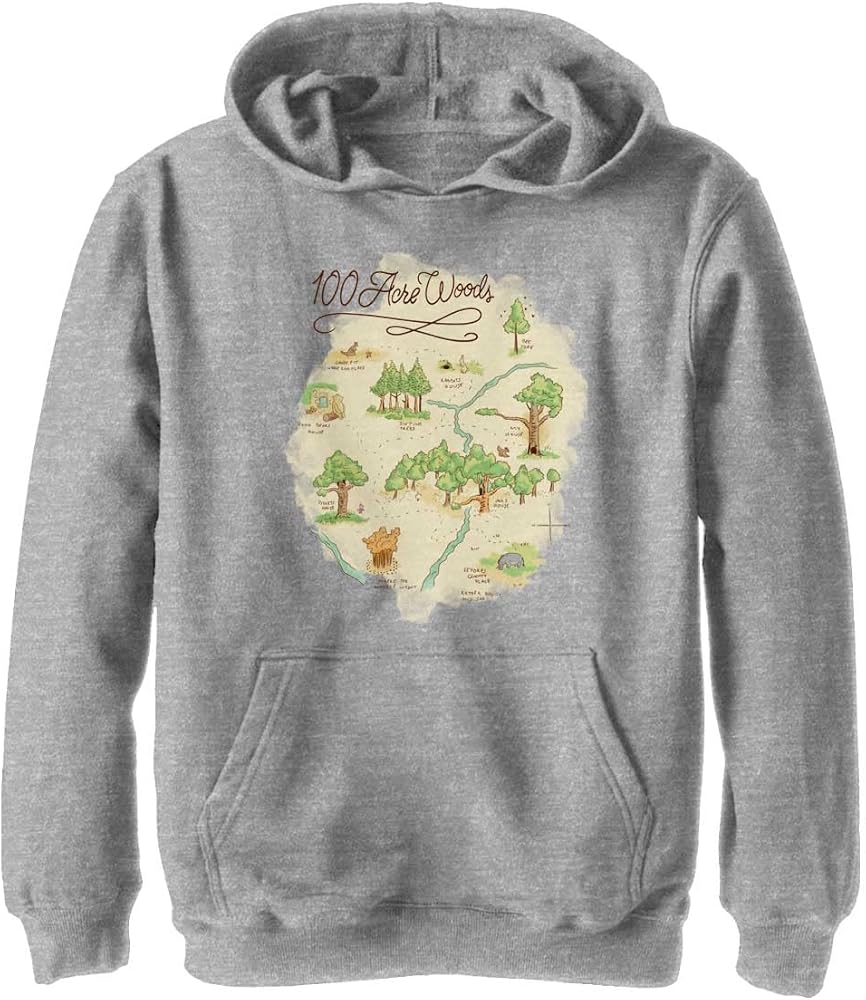 Disney Boys' 100 Acre Map Hoodie