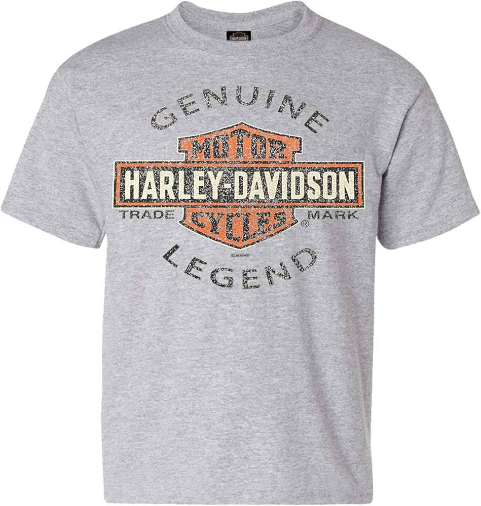 Harley-Davidson Big Boys' Genuine Legend Short Sleeve Crew-Neck T-Shirt - Gray