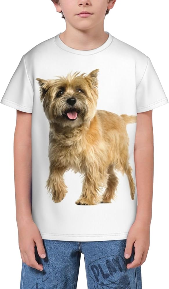 Cute Cairn Terrier Dog Teen Boys Short Sleeve Crew Neck T-Shirt Casual Tee Tops for Youth Kids