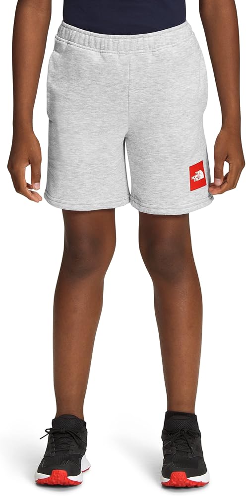 THE NORTH FACE Boy's Never Stop Training Shorts (Little Kids/Big Kids)