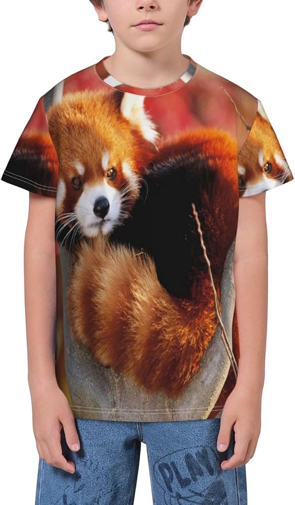 Red Panda Teen Boys Short Sleeve Crew Neck T-Shirt Casual Tee Tops for Youth Kids