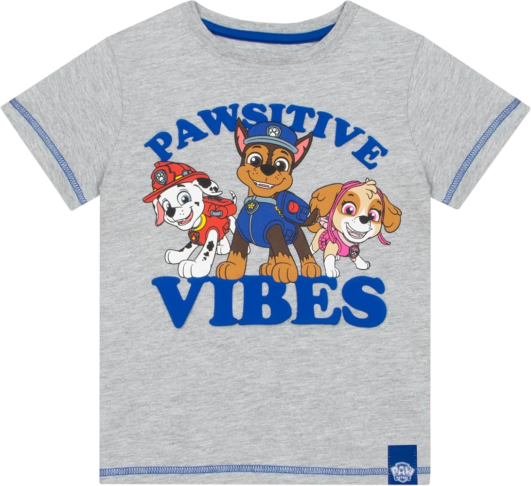 Paw Patrol Tshirt | T-Shirts for Boys | Boys Summer Clothes