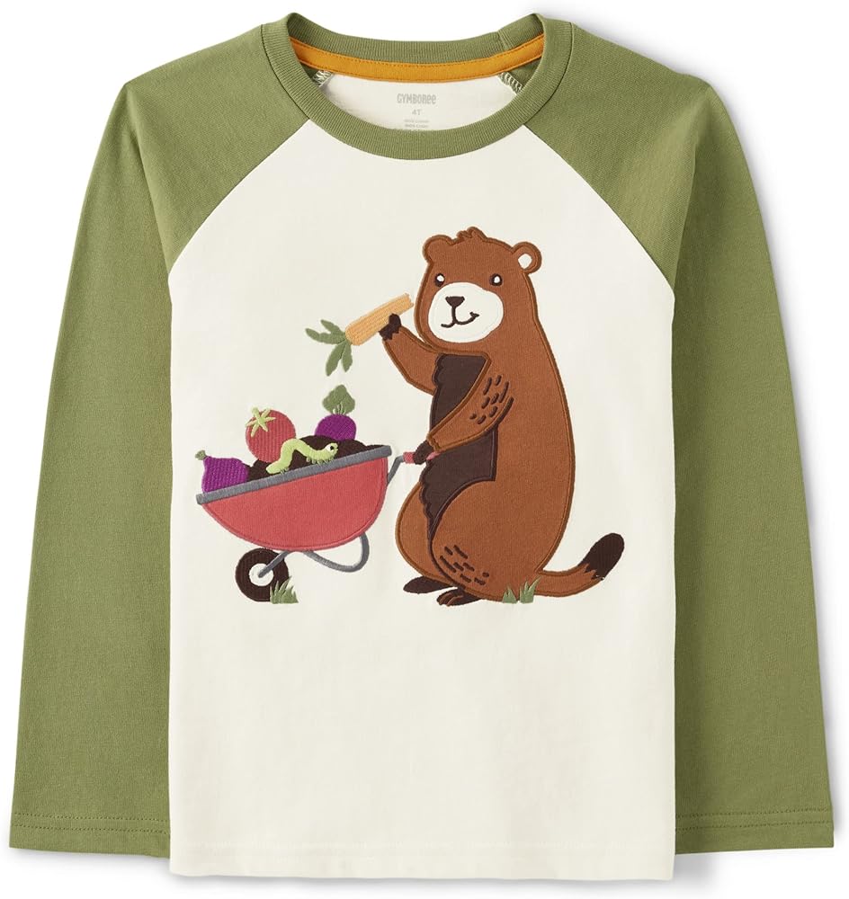 Gymboree Boys' and Toddler Spring and Summer Embroidered Graphic Long Sleeve T-Shirts