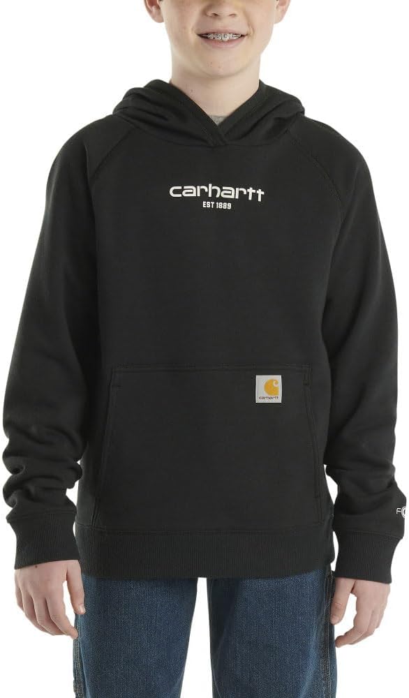 Carhartt boys Hooded