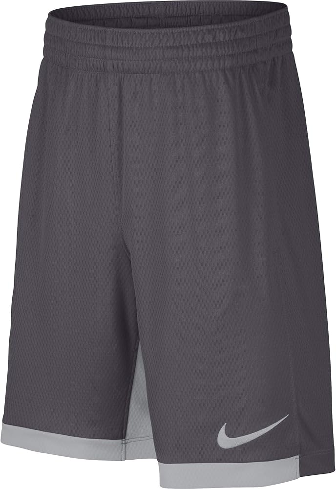 Nike Kids Boy's Dry Training Short (Big Kids)