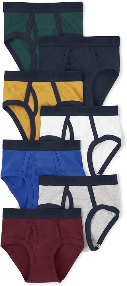 Gymboree Boys Cotton Brief Underwear