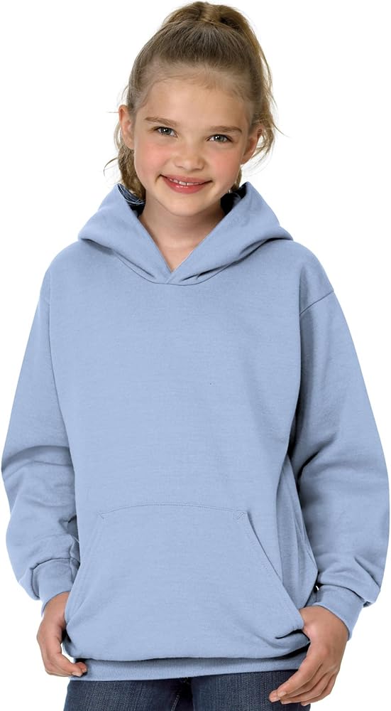 Hanes Youth ComfortBlend EcoSmart Pullover Hoodie_Light Blue_L