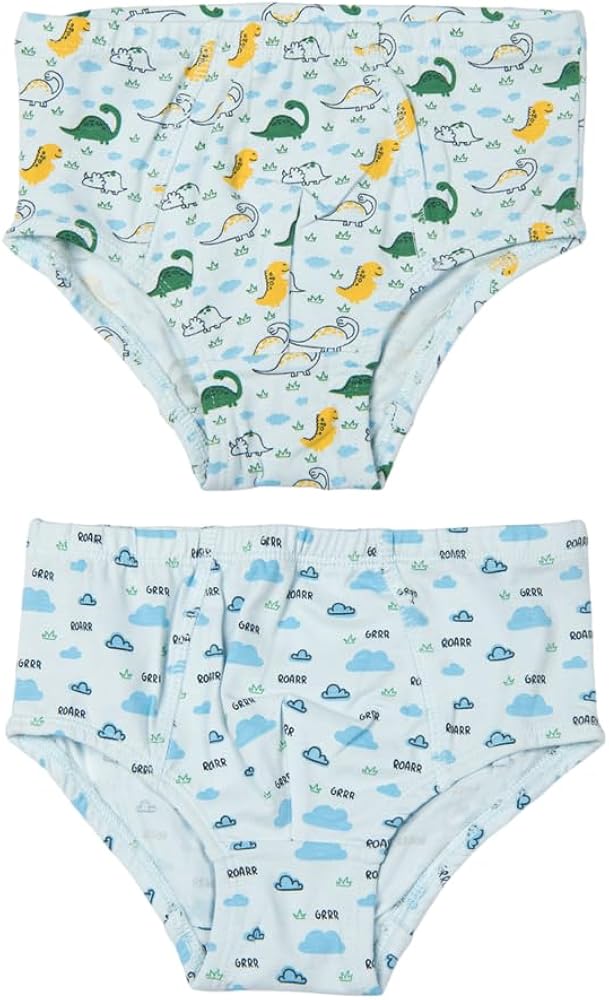 Organic Cotton Boys Briefs Underwear, Cool Comfort Moisture-Wicking Breathable Underwear - Set of 2