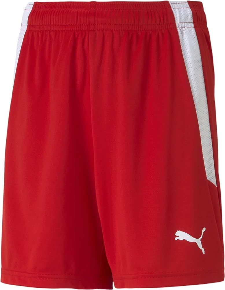 PUMA boys unisex-child Teamliga Shorts