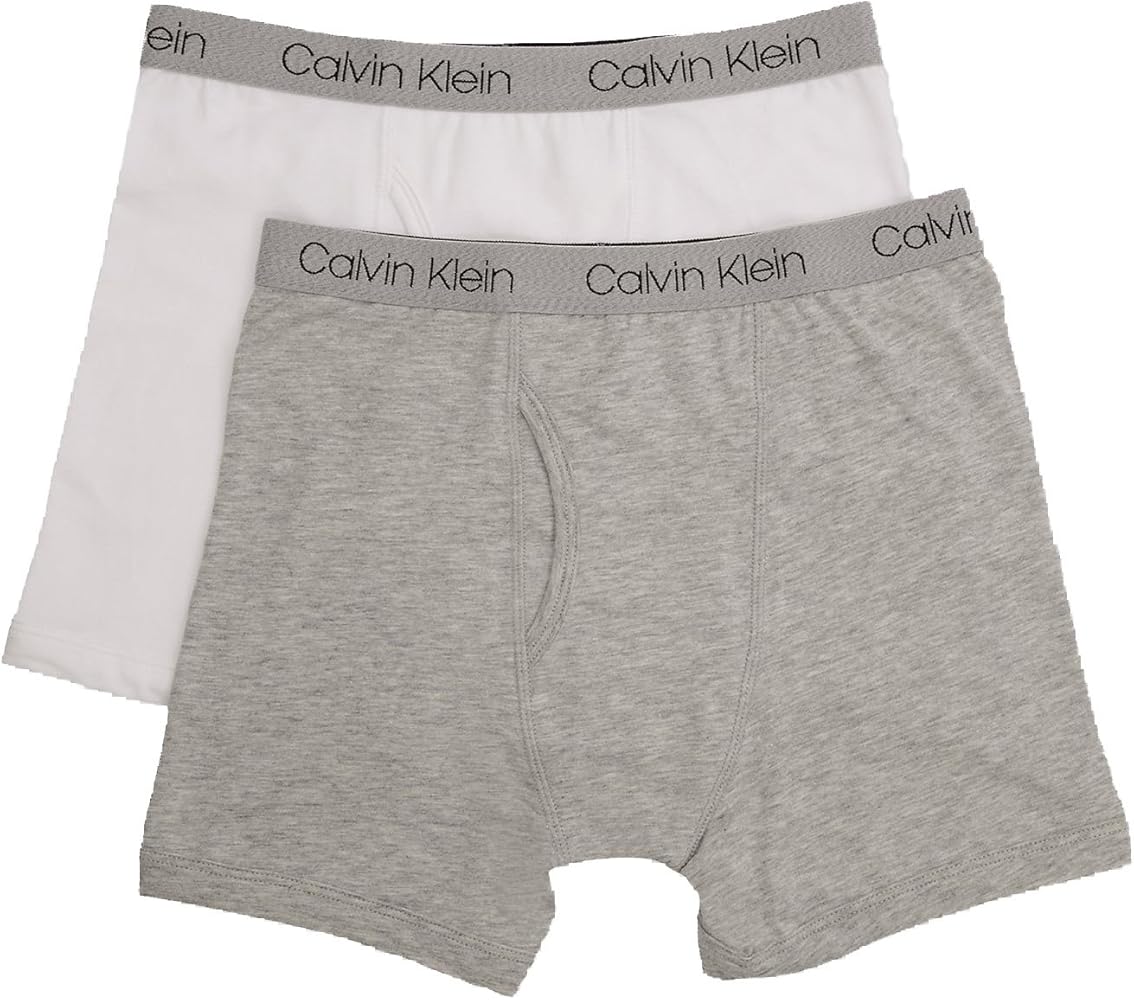 Calvin Klein Boy`s 2 Pack Boxer Briefs (Large/12-14, Heather Grey(M5133)/Classic White)