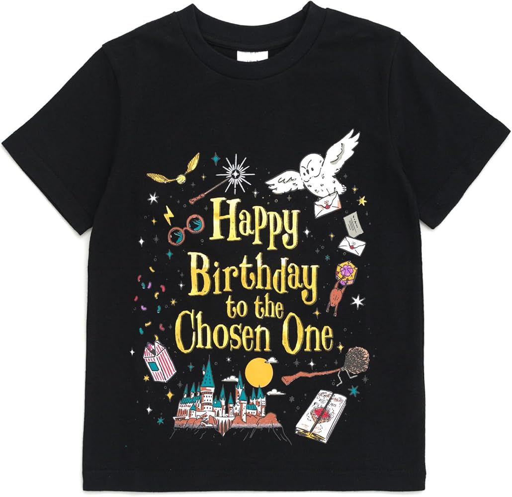 Harry Potter Birthday Vintage Wash T-Shirt Little Kid to Big