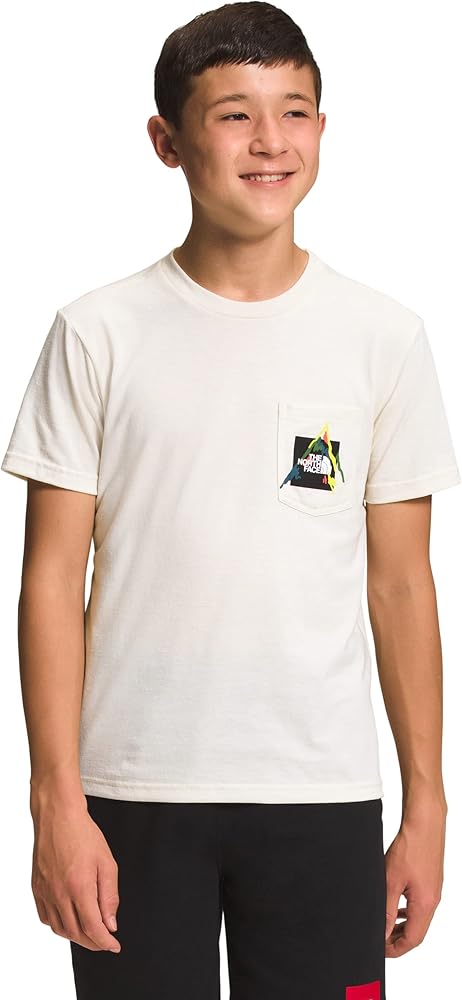 THE NORTH FACE Boy's Short Sleeve Tri-Blend Graphic Tee (Little Kids/Big Kids) Gardenia White Heather LG (12 Big Kid)