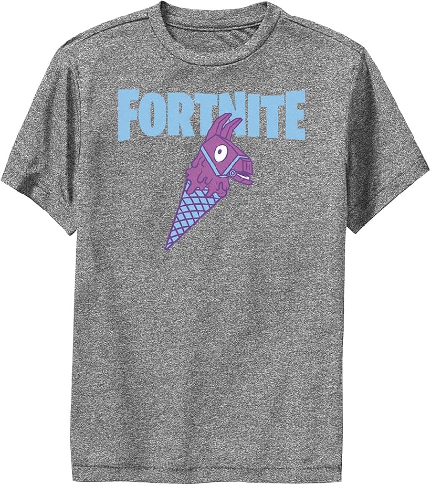 FORTNITE Boys' Llama Cone T-Shirt